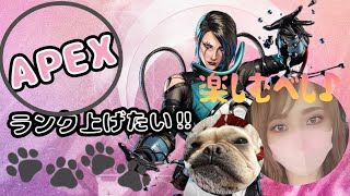 🌀『PS5版』APEX #7» 練習!!!練習🔥