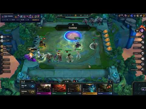 TFT - Blademaster/Desert Damage