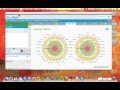 Bio-Well Tutorial: Energy Status View Features