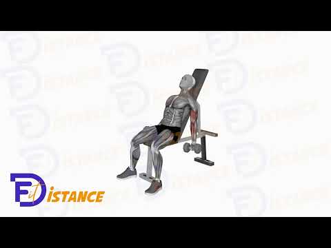 Curls inclinés - Exercice Curls inclinés en vidéo