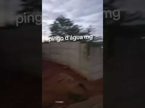 pingo d'água mg