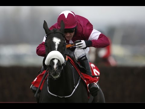 Don Cossack - happy retirement!