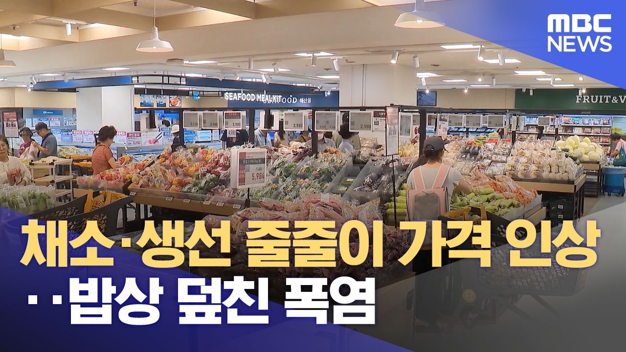뉴스로 배우는 한국어 표현 줄줄이 학습 가이드