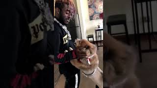 Liluzivert playing with a dog #shorts #liluzivert