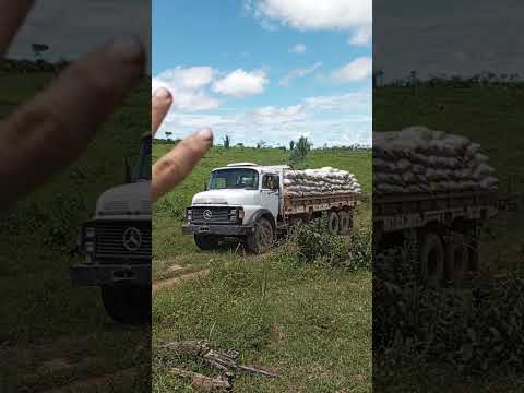 caminhão trucado carregado de café Colniza mato Grosso