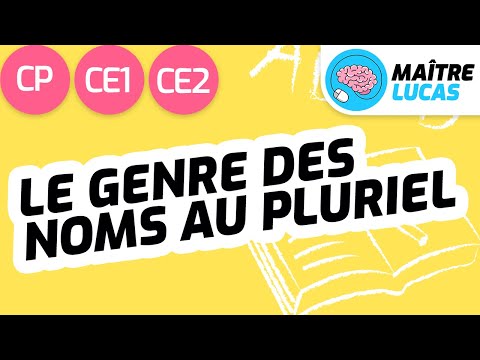 Le genre des noms au pluriel CP - CE1 - CE2 - Cycle 2 - Français : étude de la langue, Grammaire