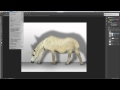 Real Rhinos have curves, stop photoshopping them!