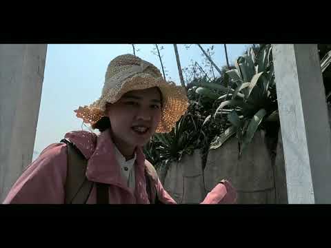 漳州火山島，憑的就是一個吸引力! #旅行 #記錄日常生活