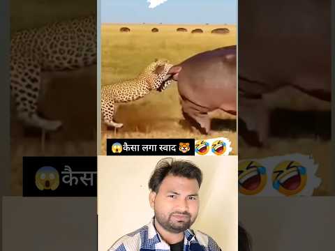 wait For End 🤣 ai bawal h bhai 😭 v#shorts #ytshorts #funny #ai