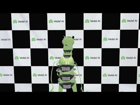 Vedal Public Apology For Missing Evil's Birthday