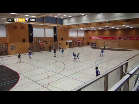 Livestream von YOUNG BIRDSFCTV