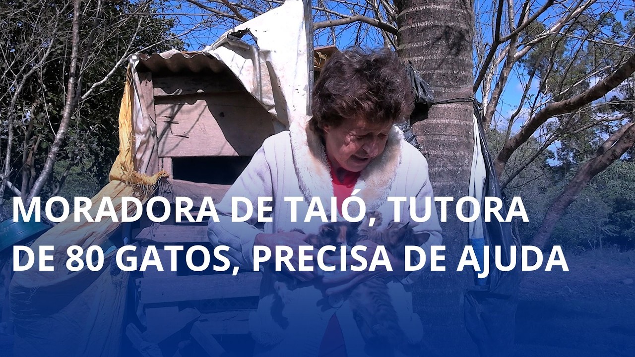 Moradora de Taió, tutora de 80 gatos, precisa de ajuda