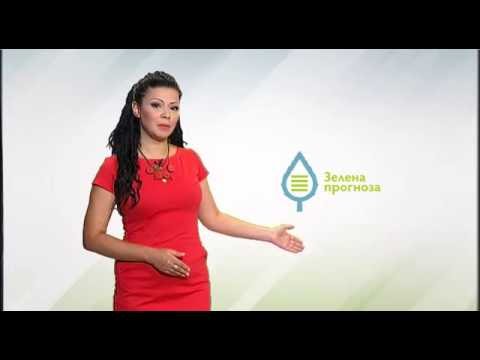 Zelena prognoza, 4.8.2016. - O dostignutom razvoju obične kruškine buve u zasadima krušaka