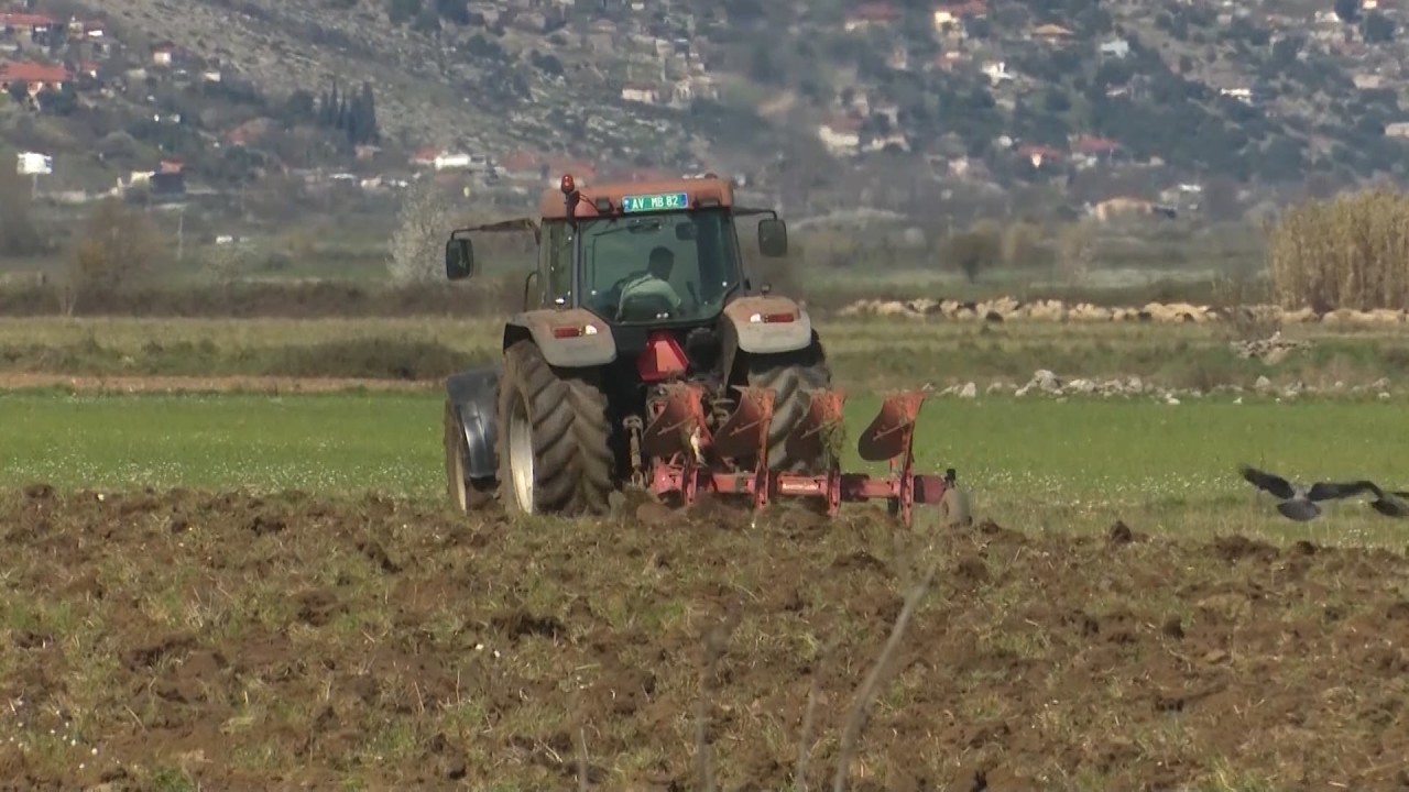 Nis shpërndarja e subvencioneve për fermerët, 527 aplikime të miratuara në qarkun e Gjirokastrës