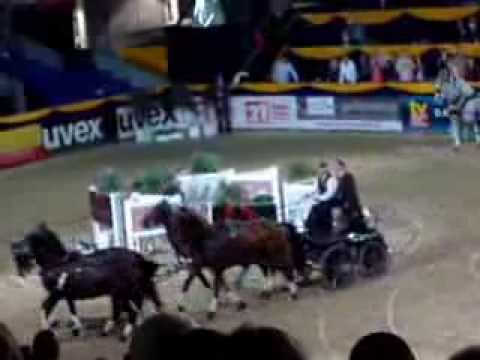 F.E.I. World Cup Driving der Vierspänner Hannover 2013, Ehrenrunde