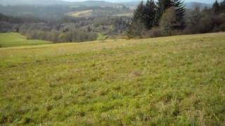 preview picture of video 'Short introduction on country properties in Yamhill County Oregon - 1st time on YouTube'