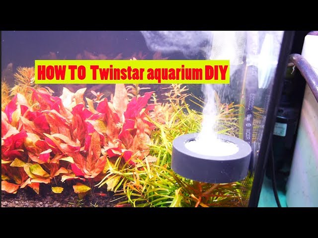 HOW TO Twinstar aquarium diy