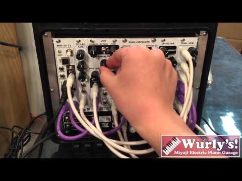Synthrotek MST Mono Voice System Demo【Wurly's!モジュラーシンセ動画】