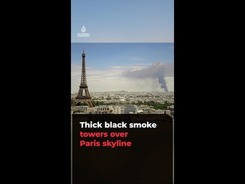 Thick black smoke towers over Paris skyline after warehouse blaze