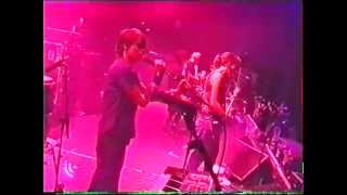 Elastica - Annie (FIB, Benicassim Festival 2000)