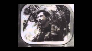 Cuckoo Cuckoo ~ Animal Collective