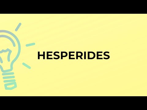 What is the meaning of the word HESPERIDES?