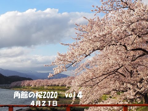 武家屋敷通り モデルコース 田沢湖角館観光協会 Tazawako Kakunodate Tourism Assosiation 武家屋敷通り モデルコース 田沢湖角館観光協会 Tazawako Kakunodate Tourism Assosiation