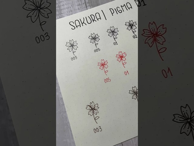Vídeo relacionado con PIGMA MICRON Sakura Graphic 1 Negro, 2 PCS y 1 tarjeta