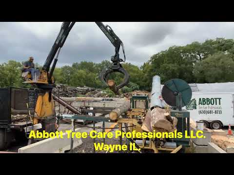 @cordwoodking @abbott8733 @cordwoodking