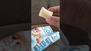 Download lagu Snack kucing rasa bawang 😺 #cemilan #snacks #chips #keripikbawang #videoshort mp3