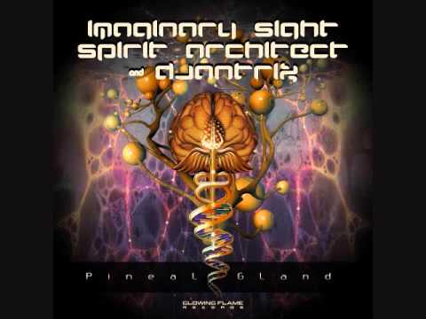 Imaginary Sight, Spirit Architect & Djantrix - Pineal Gland (Original Mix)
