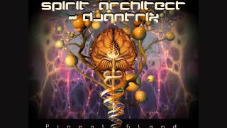Imaginary Sight, Spirit Architect & Djantrix - Pineal Gland (Original Mix)