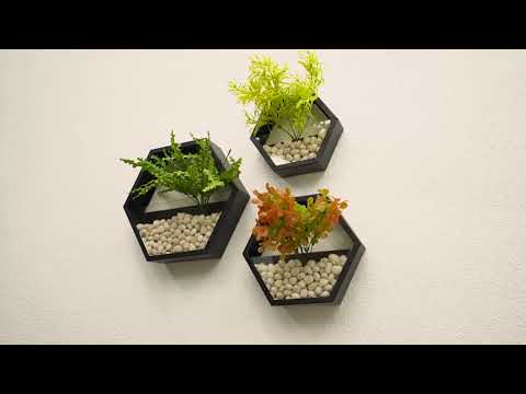 3D Tour Of Rajluckxmi Stellar Homes Phase 2 A Wing