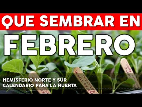 , title : 'Calendario de Siembra 2022: Qué sembrar en Febrero en el Huerto de Invierno y de Verano'