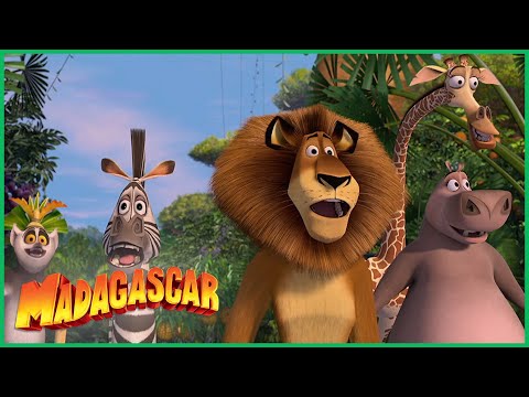 Capa de Madagascar | Bem-vindos a Madagascar! | Desenhos Animados em Português