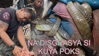 MGA KINGCOBRA SA BUDEGA KUYA POKS KRITIKAL ANG KUNDISYON