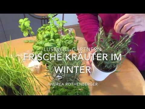 Die Creme von die Schuppenflechte der Nägel Die Behandlung der Schuppenflechte auf den Kurorten