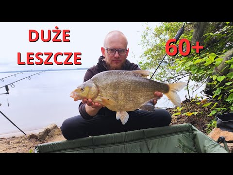 DUŻE LESZCZE NA GRUBO | 3 dni na Goczałkowicach