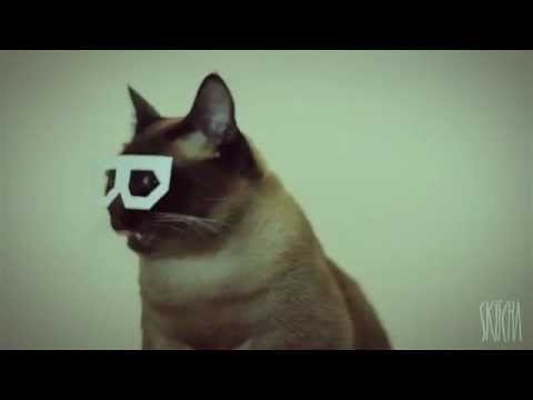 DubStep Kitteh