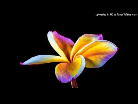 UEEN TEBIKERAI by BIKAN SINGERS.