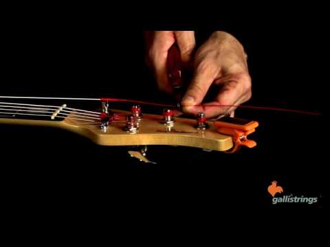 How to Change Your Electric Bass Strings - Giorgio Santisi