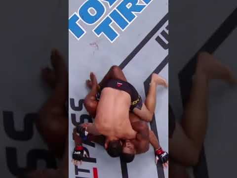 That Armbar Was FAST!! 🤯