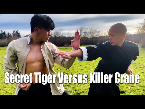 Secret Tiger Versus Killer Crane - Old School Kung Fu Fight