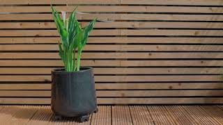 Album cover: Kingdom Landscapes Showreel