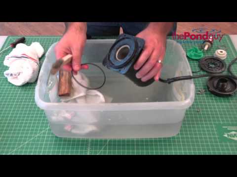 The Pond Guy® SolidFlo™ G1 Pump - Maintenance Video