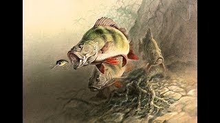 Озеро каменка ленинградская область рыбалка