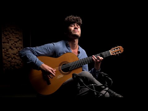 Fabian Zeller - Verdes Anos (Carlos Paredes)