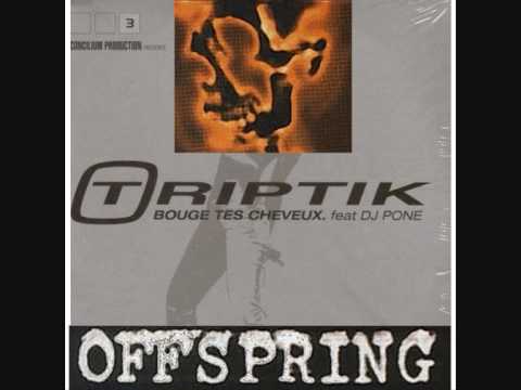 DJ Zebra - Bouge Avec Offspring