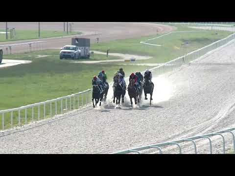 2019.06.09. 08. futam - SILVER FROST HENDIKEP (IV.o.) (szintetikus pálya)