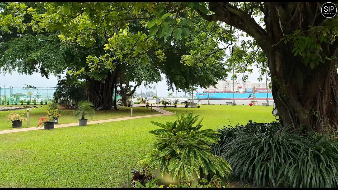 Federal Palace Hotel, Victoria Island video still